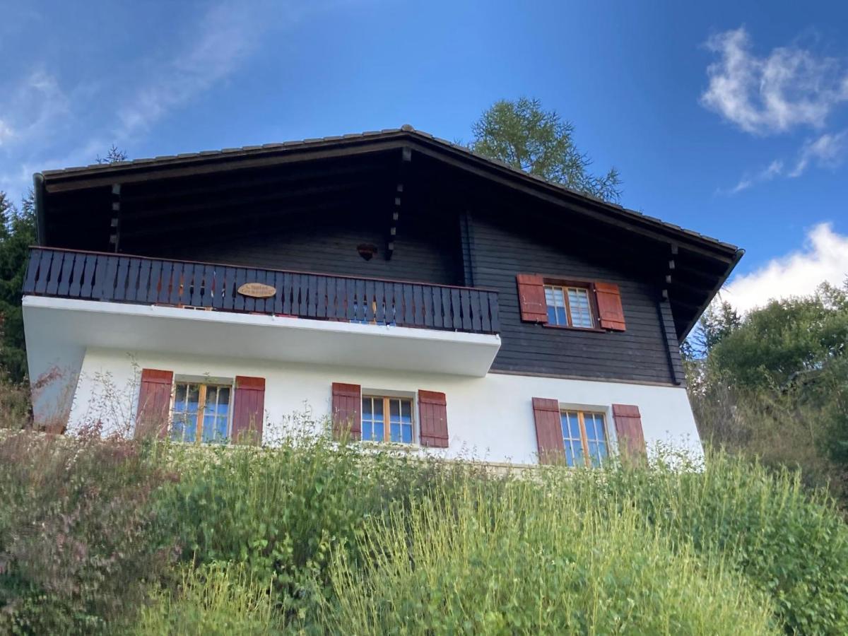 Chalet Chalet 1627 By Interhome Moleson Экстерьер фото